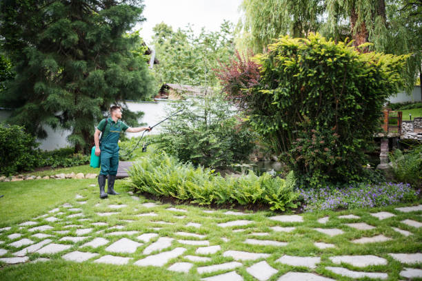 Best Termite Control Services  in Woodlake, CA