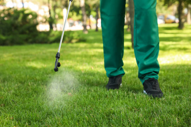 Best Cockroach Control Services  in Woodlake, CA