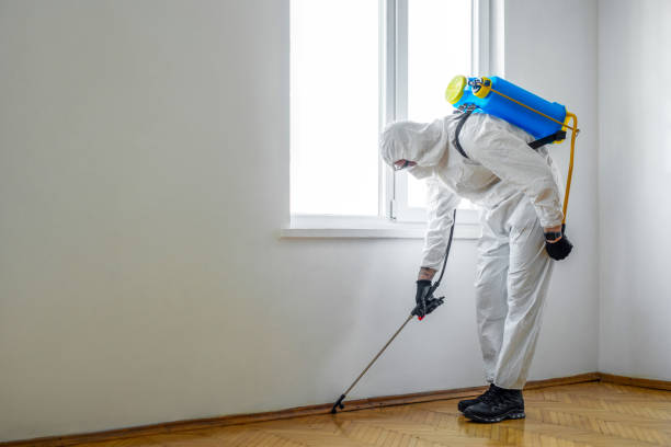 Best Insect Control  in Woodlake, CA